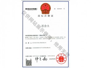 商標(biāo)注冊(cè)證書